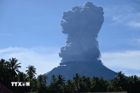 Tro bụi phun lên từ miệng núi lửa Ibu ở tỉnh Bắc Maluku, Indonesia, ngày 13/5/2024. (Ảnh: AFP/TTXVN)