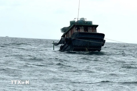 Ảnh minh họa. (Nguồn: TTXVN phát)