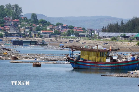 Tàu thuyền ra vào đều rất khó khăn, phải di chuyển chậm để tránh các lồng bè trong khu vực luồng di chuyển. (Ảnh: Hoa Mai/TTXVN)