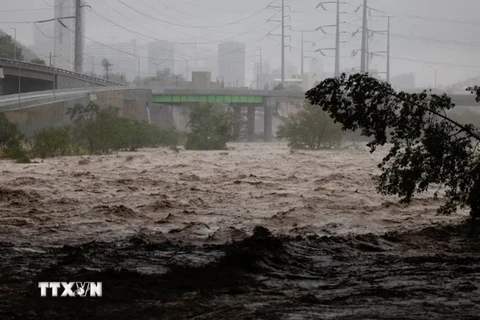 Ảnh minh họa. (Nguồn: REUTERS/TTXVN