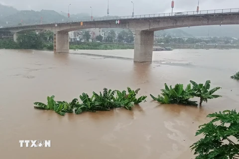 Mưa lớn xuất hiện với tần suất dày cùng cường độ lớn ngay từ trước mùa mưa bão hàng năm kéo theo nguy cơ lũ quét, sạt lở đất. (Ảnh: Hương Thu/TTXVN)