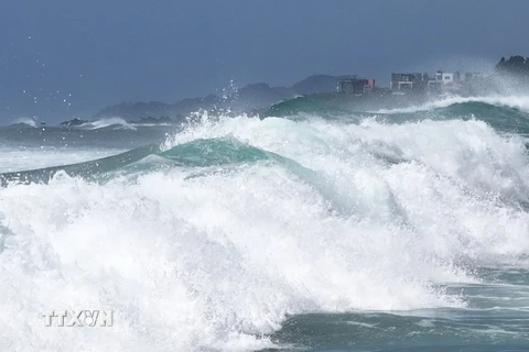 Sóng lớn xô vào bờ biển ở đảo Jeju, Hàn Quốc, do ảnh hưởng của bão Shanshan ngày 28/8/2024. (Ảnh: Yonhap/TTXVN)