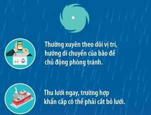 Những lưu ý về neo đậu thuyền tránh trú bão