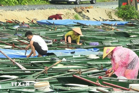 Lái đò Khu du lịch Tam Cốc-Bích Động, huyện Hoa Lư, tỉnh Ninh Bình chằng chống thuyền ứng phó với bão số 3. (Ảnh: Thùy Dung-TTXVN)