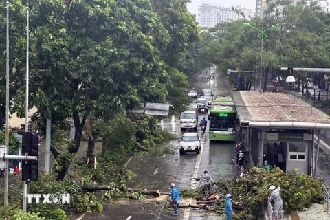 Đường phố Hà Nội trong ngày 7/9. (Ảnh: Huy Hùng/TTXVN)