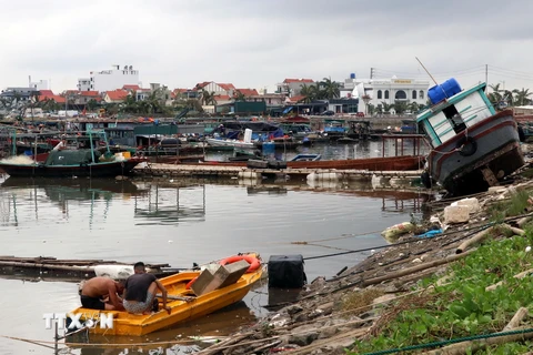 Tàu, lồng bè nuôi của người dân xã Tân An, thị xã Quảng Yên bị hư hỏng nặng. (Ảnh: Văn Đức/TTXVN)