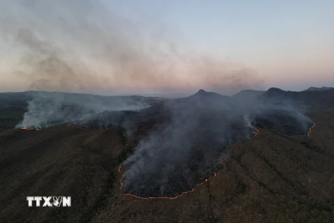 Khói bốc lên từ đám cháy rừng tại bang Goias, Brazil. (Ảnh: THX/TTXVN)