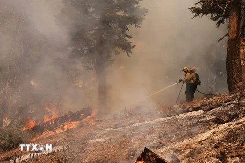 Lính cứu hỏa dập đám cháy rừng tại California, Mỹ ngày 13/9/2024. (Ảnh: THX/TTXVN)