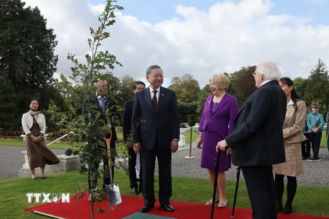 Tổng thống Ireland Michael D. Higgins cùng Phu nhân và Tổng Bí thư, Chủ tịch nước Tô Lâm tại lễ trồng cây. Ảnh: Trí Dũng – TTXVN