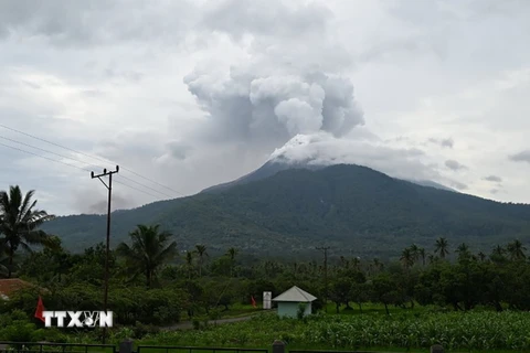 Tro bụi phun lên từ miệng núi lửa Lewotobi Laki-Laki, nhìn từ làng Pulolera ở huyện Flores Timur, Đông Nusa Tenggara, Indonesia. (Ảnh: THX/TTXVN)