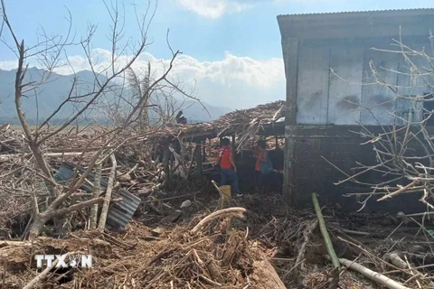 Người dân thu dọn đống đổ nát sau khi bão Usagi quét qua tỉnh Cagayan, Philippines ngày 15/11/2024. (Ảnh: REUTERS/TTXVN)