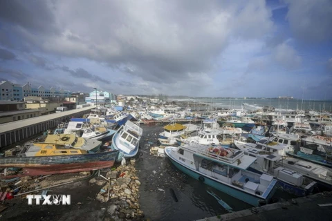 Tàu cá bị phá hủy do bão Beryl tại Barbados ngày 1/7/2024. (Ảnh: CNN/TTXVN)