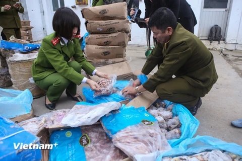 Lực lượng chức năng đã thu giữ hơn 1 tấn thực phẩm đã quá hạn sử dụng. (Ảnh: Minh Sơn/Vietnam+)