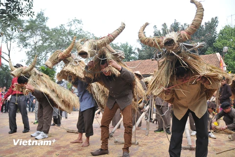 Tiếng trống, chiêng vang lên, không khí lễ hội tưng bừng, những con trâu bằng rơm, bằng rạ được người dân hóa thân đi cày. (Ảnh: PV/Vietnam+)