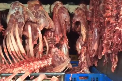 Khoảng 400kg thịt bò không có nguồn gốc xuất xứ đang chuẩn bị ‘xâm nhập’ vào Thủ đô. (Ảnh: PV/Vietnam+)