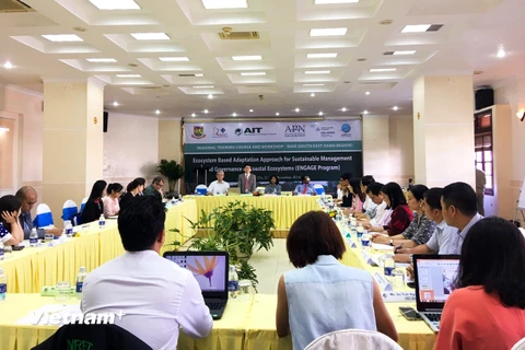 Chương trình ENGAGE đã giúp chuyên gia và các nhà hoạch định chính sách hiểu rõ hơn về công tác chống biến đổi khí hậu khu vực ngập mặn ven biển. (Ảnh: PV/Vietnam+)