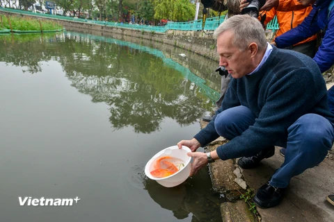 Năm 2016, Ngài Ted Osius cũng đã vinh dự được thả cá chép tại Kinh thành Huế trong dịp đạp xe xuyên Việt của mình. (Ảnh: Minh Sơn/Vietnam+)