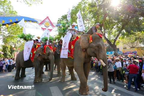 Những chú voi Tây Nguyên cùng với gần 1000 nghệ sỹ đã tham gia diễu hành lễ hội đường phố lần thứ 6 và Liên hoan văn hóa cồng chiêng năm 2017 tại thành phố Buôn Ma Thuột (Đắk Lắk) vào chiều 10/3. (Ảnh: Minh Sơn/Vietnam+)