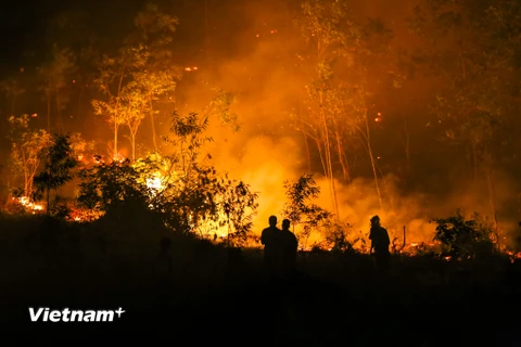 Ngày 5/6, hỏa hoạn đã xảy ra tại khu rừng phòng hộ tại xã Nam Sơn, huyện Sóc Sơn, Hà Nội. Đến 21 giờ 45 phút, lực lượng chức năng ​dù ​đã nỗ lực tối đa nhưng vẫn chưa khống chế được hỏa hoạn. (Ảnh: PV/Vietnam+) 
