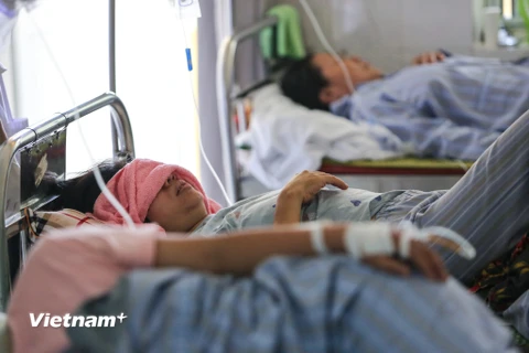 Số bệnh nhân đến viện điều trị sốt xuất huyết tăng gấp 6 lần so với cùng kỳ năm 2016, hàng trăm trường hợp nặng phải nhập viện điều trị nội trú khiến các bệnh viện trên địa bàn Hà Nội đều trong tình trạng quá tải. (Ảnh: Minh Sơn/Vietnam+)