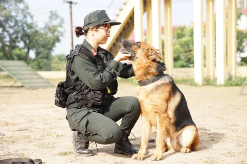 Người và chó sẽ gắn bó với nhau qua từng giai đoạn: từ huấn luyện, thực chiến, thậm chí là cả trong bữa ăn hàng ngày. (Ảnh: PV/Vietnam+) 