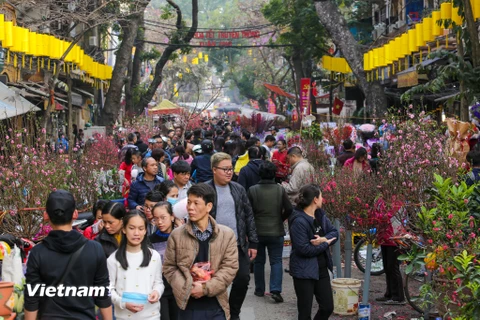 Những ngày cận Tết Nguyên đán, chợ hoa Hàng Lược lại trở nên vô cùng tấp nập, nhộn nhịp. (Ảnh: Minh Sơn/Vietnam+)