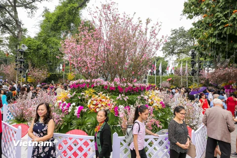 Sáng 24/3 tại Tượng đài Lý Thái Tổ, hàng vạn người dân Thủ đô đã đến tham dự Lễ hội hoa anh đào 2018. (Ảnh: Minh Sơn/Vietnam+)