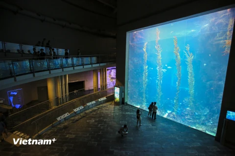 Nằm ở phía bắc Khẩn Đinh, một thị trấn nhỏ ở phía nam Huyện Bình Đông (Đài Loan), National Museum of Marine Biology and Aquarium – Bảo tàng hải dương và thuỷ cung quốc gia được xem là thủy cung lớn nhất Đài Loan. Nơi đây cũng sở hữu một trong những đường 