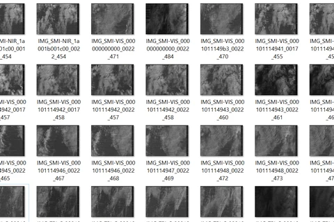 Những bức ảnh thử nghiệm chưa qua xử lý đầu tiên của hệ máy ảnh TPI, được vệ tinh MicroDragon chụp 4 ngày sau phóng tại khu vực nước Mỹ.