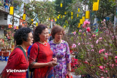 Cứ mỗi dịp Tết đến Xuân về, người Hà Nội lại tìm đến chợ hoa Hàng Lược, một trong những chợ lâu đời nhất Hà Thành. (Ảnh: Minh Sơn/Vietnam+)