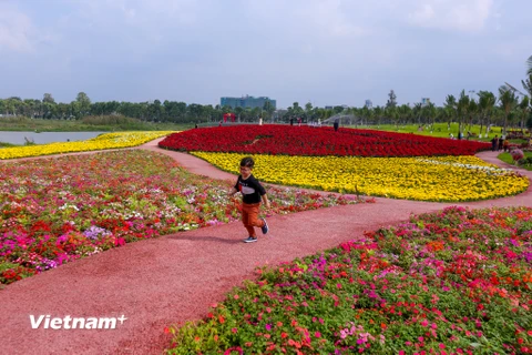 Trong dịp Tết năm nay, du khách Thủ đô sẽ có dịp được khám phá một trong những lễ hội hoa xuân lớn nhất miền Bắc. (Ảnh: Minh Sơn/Vietnam+)