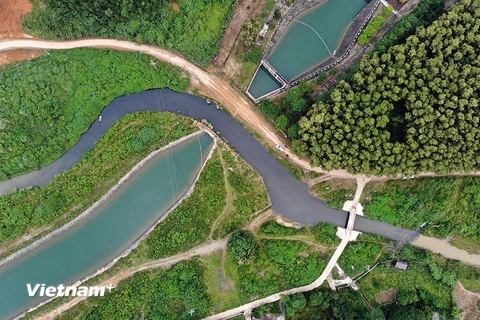 Nguồn nước dẫn vào nhà máy nước sông Đà chia làm hai màu rõ rệt sau sự cố ô nhiễm. (Ảnh: PV/Vietnam+)