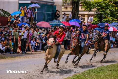 Sáng 31/5, vòng chung kết giải đua ngựa truyền thống Bắc Hà mở rộng năm 2020 đã chính thức được diễn ra tại thị trấn Bắc Hà, Lào Cai. (Ảnh: PV/Vietnam+)