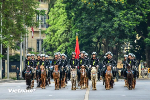 Sáng 8/6, lực lượng Đoàn Cảnh sát cơ động Kỵ binh, Bộ Tư lệnh Cảnh sát cơ động đã chính thức ra mắt. (Ảnh: Minh Sơn/Vietnam+)