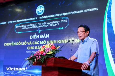 Thứ trưởng Hoàng Vĩnh Bảo phát biểu tại sự kiện. (Ảnh: Minh Sơn/Vietnam+)