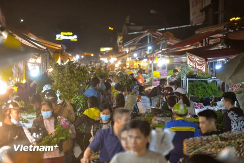 Đêm trước ngày 8/3, chợ hoa Quảng An (Hà Nội) lại càng nhộn nhịp, tấp nập cảnh kẻ bán người mua. (Ảnh: Minh Sơn/Vietnam+)