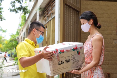 Nhằm tạo kênh bền vững cho nông sản Việt đặc biệt là trái vải thiều, sàn thương mại điện tử Postmart của VietnamPost đã đồng hành hỗ trợ người nông dân các vùng như Bắc Giang tiêu thụ. (Ảnh: Minh Sơn/Vietnam+)