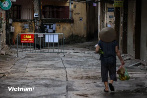 Ngay từ 5 giờ sáng tại nhiều khu 'chợ cóc' ở Hà Nội, người dân đã bắt đầu đi chợ sớm. (Ảnh: Minh Sơn/Vietnam+)