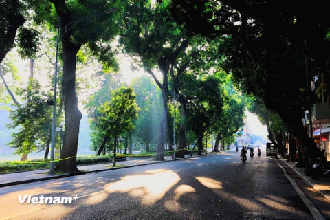 Nếu sống ở Thủ đô lâu năm, người ta sẽ không ngần ngại mà bao rằng mùa đẹp nhất trong năm của Hà Nội là mùa Thu. (Ảnh: Minh Sơn/Vietnam+) 