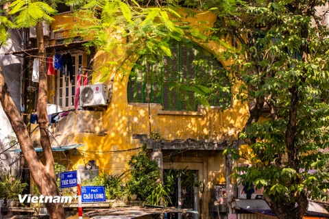 Ghé thăm Hà Nội những ngày đầu Đông, du khách không khỏi bất ngờ khi ngắm nhìn một hình ảnh Thủ đô rất khác. (Ảnh: Minh Sơn/Vietnam+)