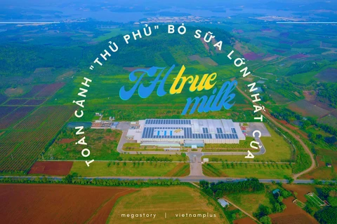 [Mega Story] Toàn cảnh "thủ phủ" bò sữa lớn nhất của TH true MILK 