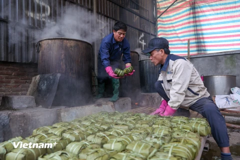 Bánh chưng Đất Tổ - là thương hiệu đặc sản của làng Cát Trù (xã Hùng Việt, huyện Cẩm Khê, Phú Thọ). Nơi đây được biết đến là vùng đất có truyền thống lâu đời, các nghệ nhân giàu kinh nghiệm làm ra những chiếc bánh chưng thơm ngon dâng lên Vua Hùng. (Ảnh: Minh Sơn/Vietnam+)