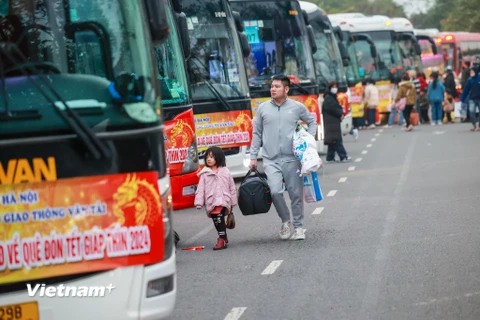 Rạng sáng 7/2 tại Khu công nghiệp Thăng Long (Đông Anh, Hà Nội), 25 chuyến xe ôtô miễn phí đã sẵn sàng đưa công nhân lao động về quê đón Tết Nguyên đán Giáp Thìn 2024. (Ảnh: Minh Sơn/Vietnam+) 