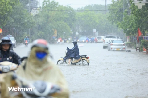 Theo Trung tâm khí tượng thuỷ văn Quốc gia, dự báo thời tiết hôm nay (5/6) đến đêm mai (6/6), khu vực Bắc Bộ có mưa vừa, mưa to và giông, cục bộ có mưa rất to với lượng mưa phổ biến từ 40-120mm, có nơi trên 200mm. (Ảnh: Hoài Nam/Vietnam+)
