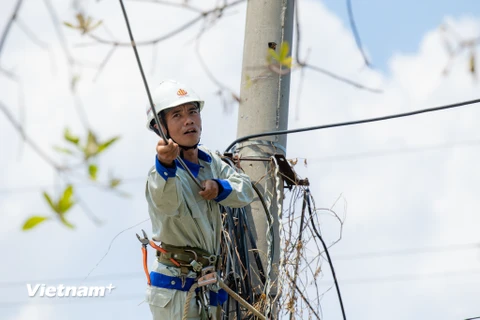 Viễn thông Quảng Ninh nỗ lực ‘cứu sóng’ khôi phục liên lạc cho người dân sau bão