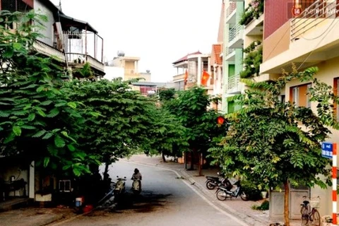 Một góc cận cảnh đường Trịnh Công Sơn, chụp từ dốc Âu Cơ. (Ảnh: BTC)