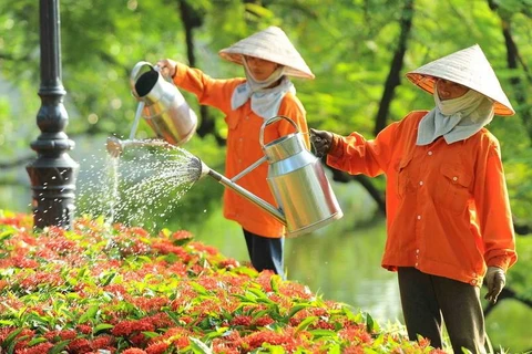 Hà Nội: Sôi động không khí chuẩn bị cho kỳ nghỉ Tết dương lịch