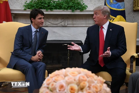 Thủ tướng Canada Justin Trudeau và Tổng thống Mỹ Donald Trump trong cuộc gặp tại Washington DC., ngày 11/10/2017. (Nguồn: AFP/TTXVN)