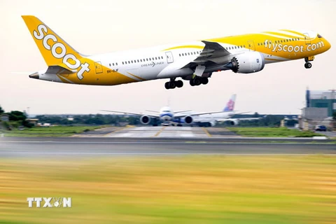 Hãng hàng không giá rẻ Scoot Air của Singapore. (Nguồn: TTG Asia) 