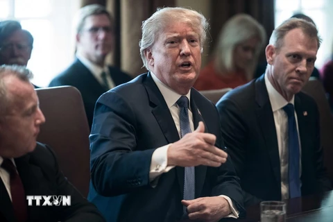 Tổng thống Mỹ Donald Trump (giữa) chủ trì cuộc họp nội các. (Nguồn: AFP/TTXVN)